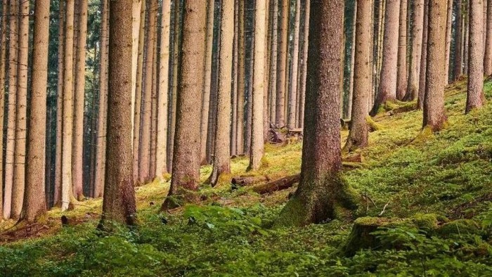 news-768-432 news-768-432